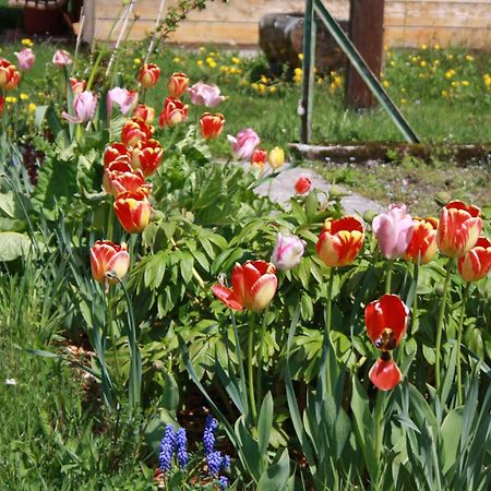 Buerschtehanse-Hof Ibach Bagian luar foto