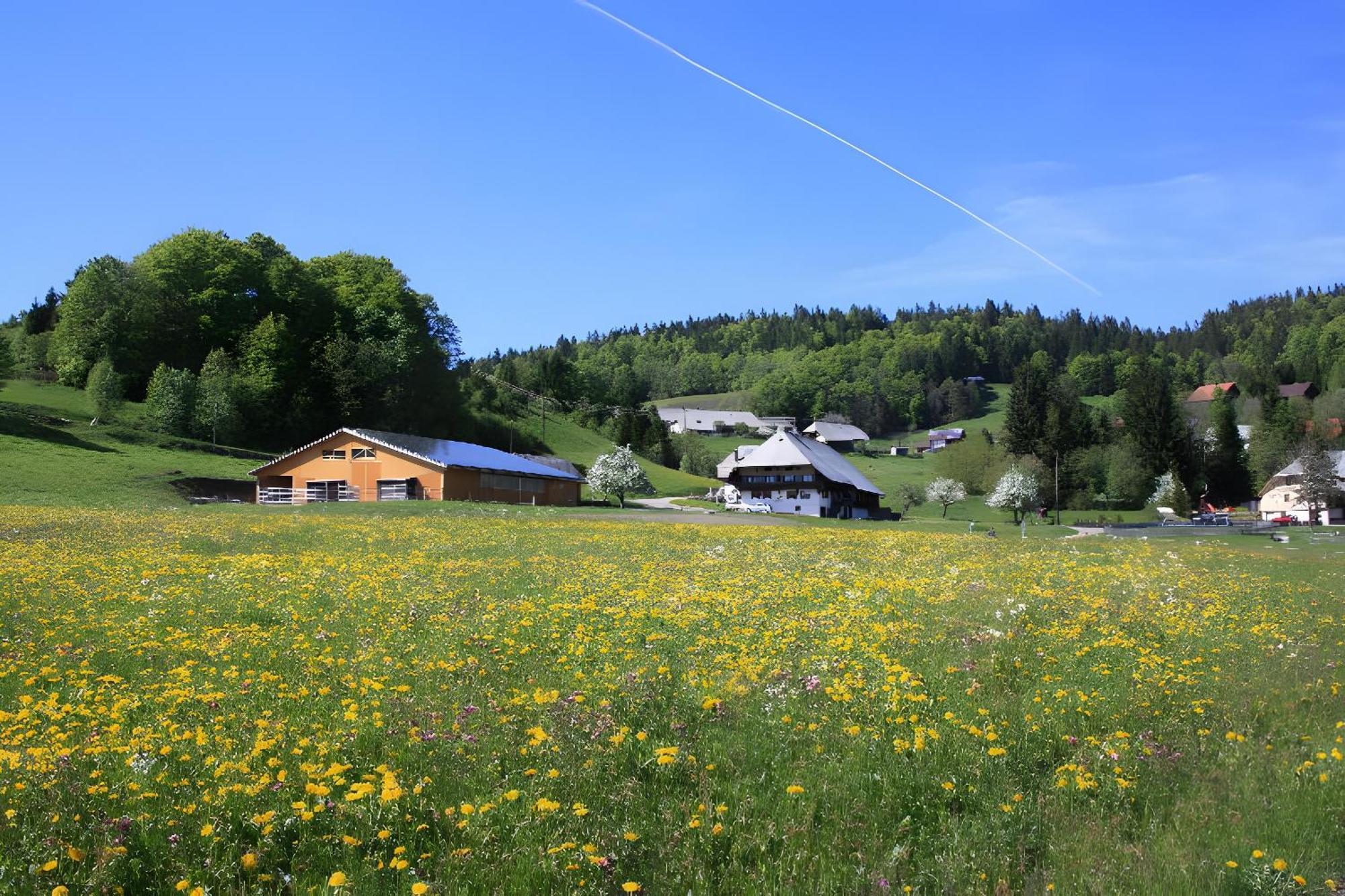 Buerschtehanse-Hof Ibach Bagian luar foto